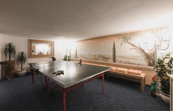 Residence Sissi sala ricreativa Ping Pong divertimento