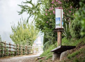 Urlaub Dorf Tirol Wandern Spaziergang sonnige Weinberge