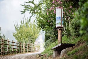 Urlaub Dorf Tirol Wandern Spaziergang sonnige Weinberge