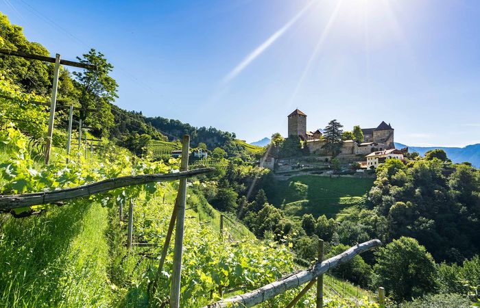 Castel Tirolo Escursioni Residence Sissi