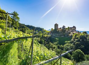 Castel Tirolo escursioni camminare Residence Sissi