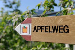 Wandertipp Dorf Tirol Urlaub Familienwanderung Obstgärten Apfelweg