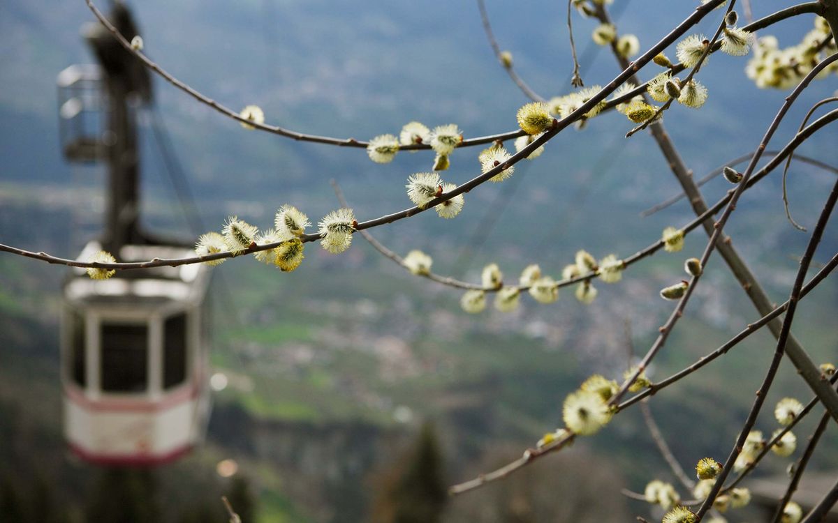 Wandern Meraner Land Seilbahn Hochmuth