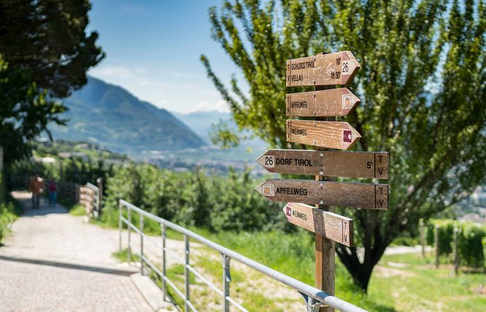Tirolo Escursioni Attività Camminare