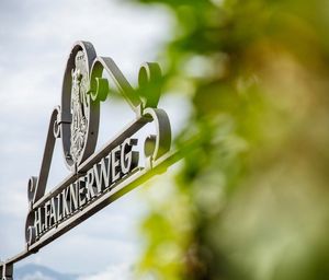 Spazieren Urlaub Dorf Tirol Promenade Falknerweg