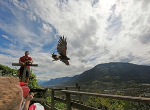 Sehenswertes Meran Dorf Tirol Urlaub Vogelzentrum Pflegezentrum für Vogelfauna