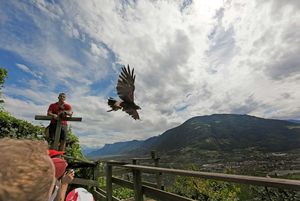Sehenswertes Meran Dorf Tirol Urlaub Vogelzentrum Pflegezentrum für Vogelfauna