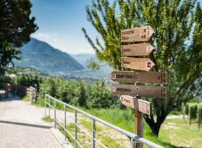 Dorf Tirol Wandern Aktiv Spazieren